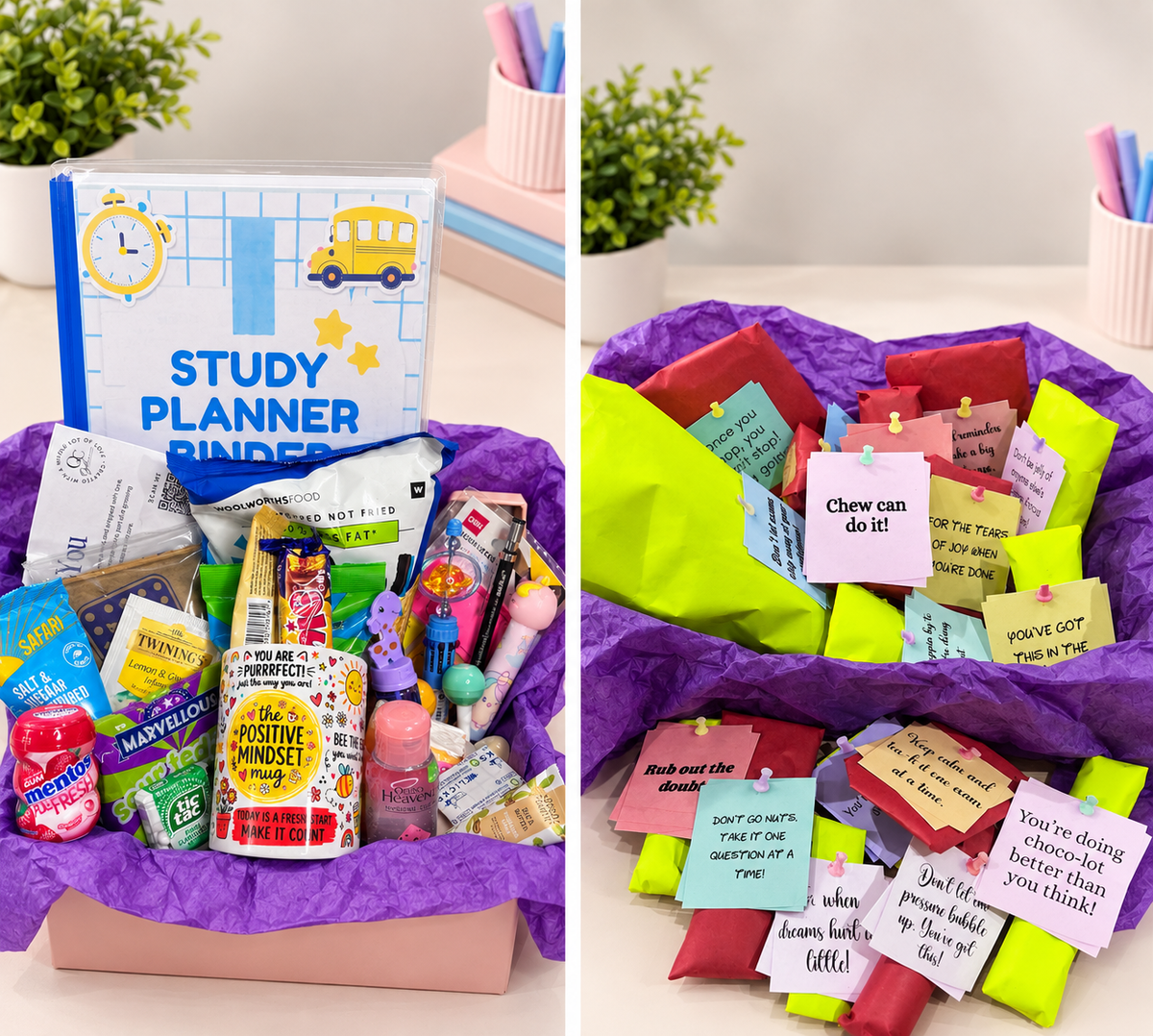 Premium Matric Survival Package