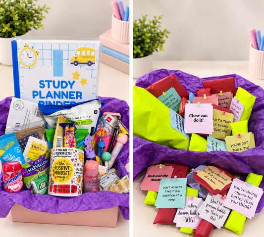 Premium Matric Survival Package